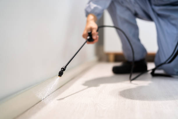 Licensed Rodent Control service in Lincoln, IL - Nex Pest Control