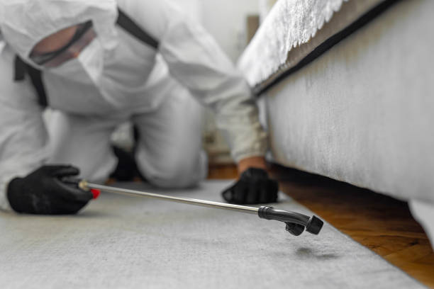 Professional Rodent Control technician working in Lincoln, IL