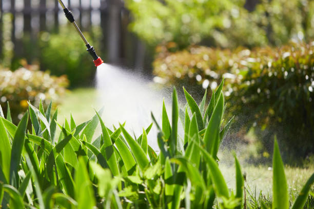 24/7 Emergency Rodent Control experts in Lincoln, IL
