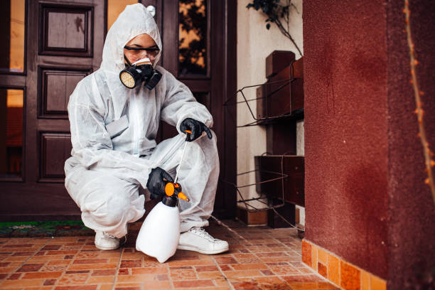 Reliable Rodent Control contractor in Lincoln, IL by Nex Pest Control