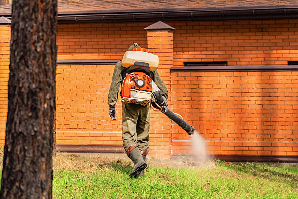 Trusted Rodent Control service in Lincoln, IL - Nex Pest Control